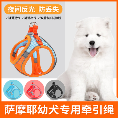 萨摩耶幼犬专用牵引绳遛狗绳
