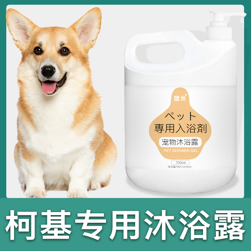 柯基犬大桶沐浴露除臭清洁留香