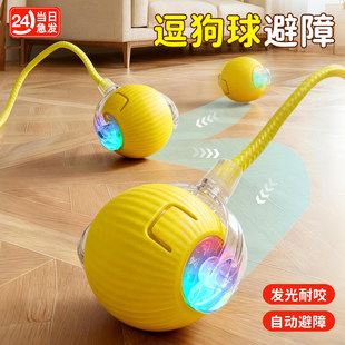 狗玩具猫咪智能逗狗球自嗨解闷小猫自动躲避宠物电动突滚滚棒神器