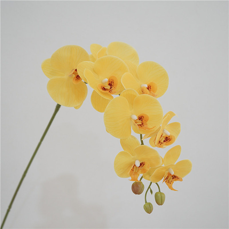 高品质仿真花手感蝴蝶兰