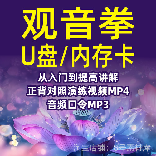 观音拳视频MP4讲解跟练U盘优盘内存卡TF卡正背演示带音乐口令MP3