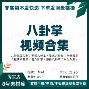 传统武术八卦掌视频合集程式梁式游身八卦掌尹氏八卦掌10套
