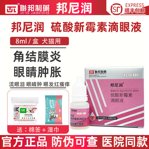 联邦邦尼润硫酸新霉素滴眼液结膜