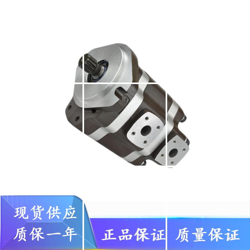 派克GPC4-G5双联从来不GPC4-G5 25 32 40 50 63 80 GPC4-G5系现货