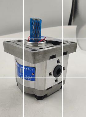 合肥长源齿轮泵CBW-F304/F306/F310/F316/F320-ALP/AFP/CLP/C现货