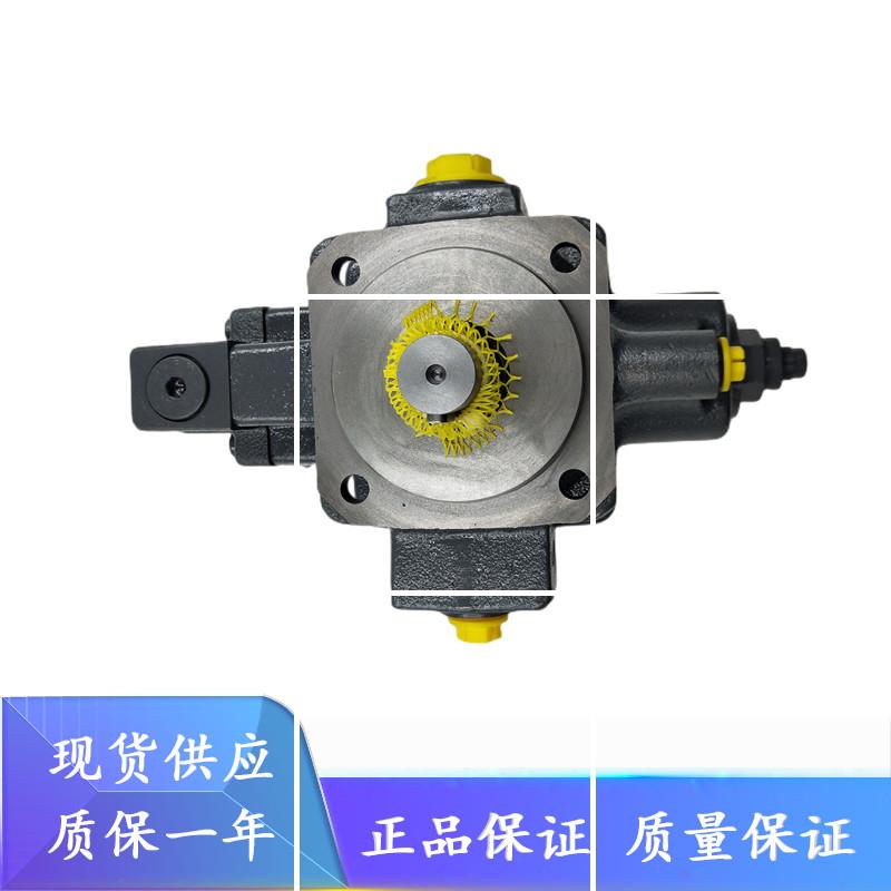 叶片泵 1PV2V4-24/20RA01MC1-16A1 齿轮泵 液压油泵现货