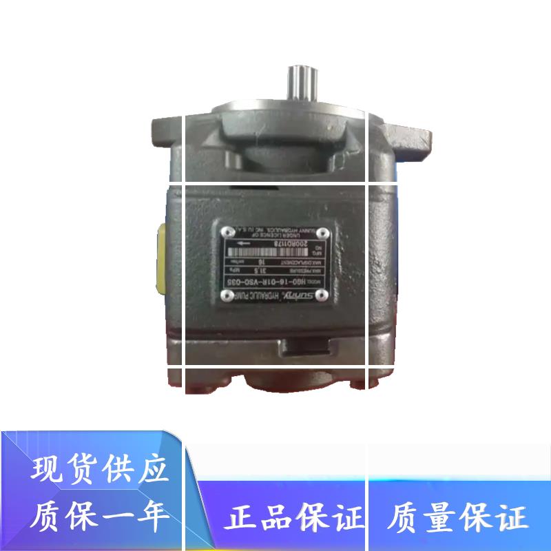 美国SUNNY海特克内啮合 CP0-08-P-10R CP0 CP1 CP2-100高压齿现货