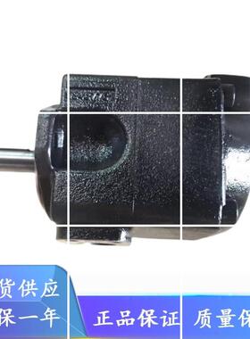 T7AS B10 1R00 A104/高压泵T7AS-B17-1R00-A1-00叶片泵现货