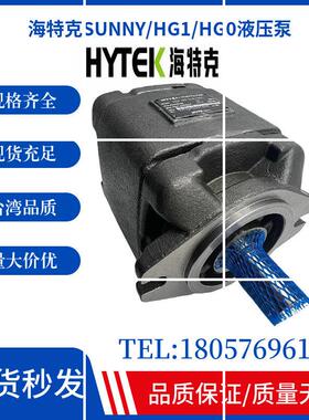 HG1-63-01R-VPC齿轮油泵HG1-08-10-13-16-20-25-32-40-现货