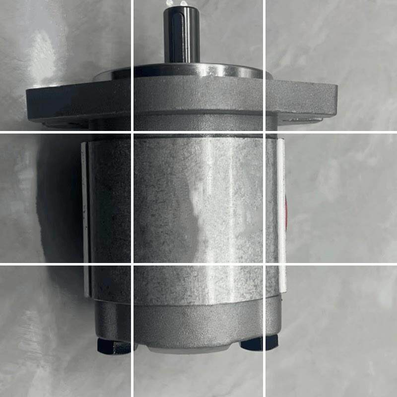 意大利萨拉米SALAMI齿轮泵 2.5MB11.5D-P38P2-V2.5MB25D-P38P现货