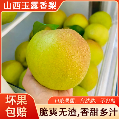 山西玉露香梨当季脆甜梨子
