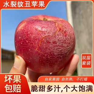 自家果园水裂纹苹果自然熟脆甜多汁个大脑袋双层套袋坏果包赔箱装