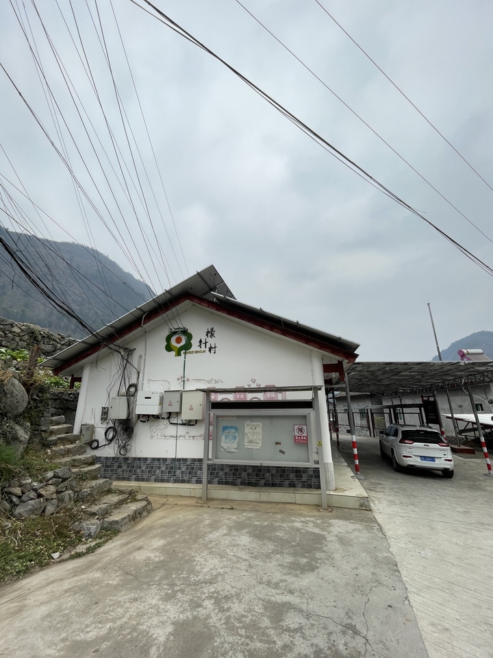 四川省江油市马角镇和雁门镇12宗林权资产