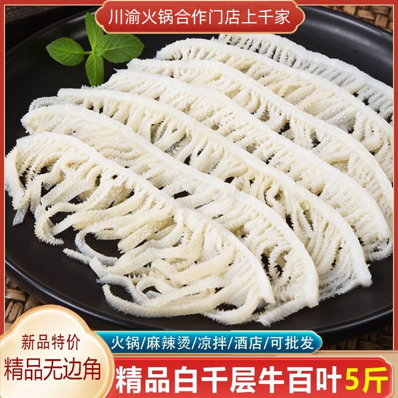 白千层肚新鲜5斤装重庆火锅牛百叶冷冻牛杂牛肚毛肚火锅配菜食材