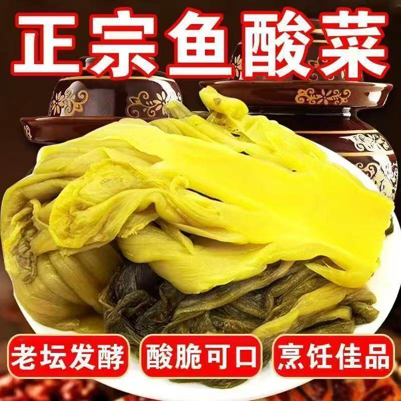 正宗酸菜老坛酸菜鱼农家芥菜腌制鱼酸菜调料厂家直发商用批发通用