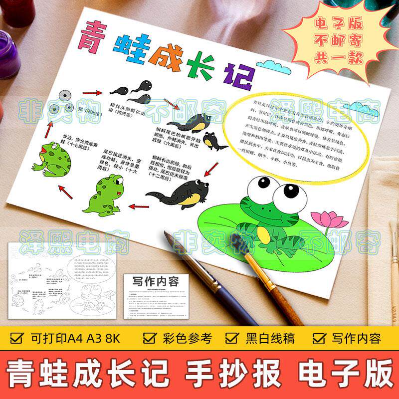 青蛙成长记手抄报模板小学生观察动物小蝌蚪成长记录日记黑白线稿