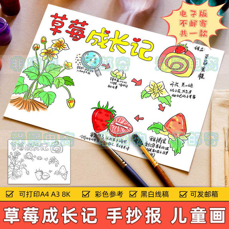草莓成长记儿童绘画模板小学生观察植物水果生长自然笔记手抄小报