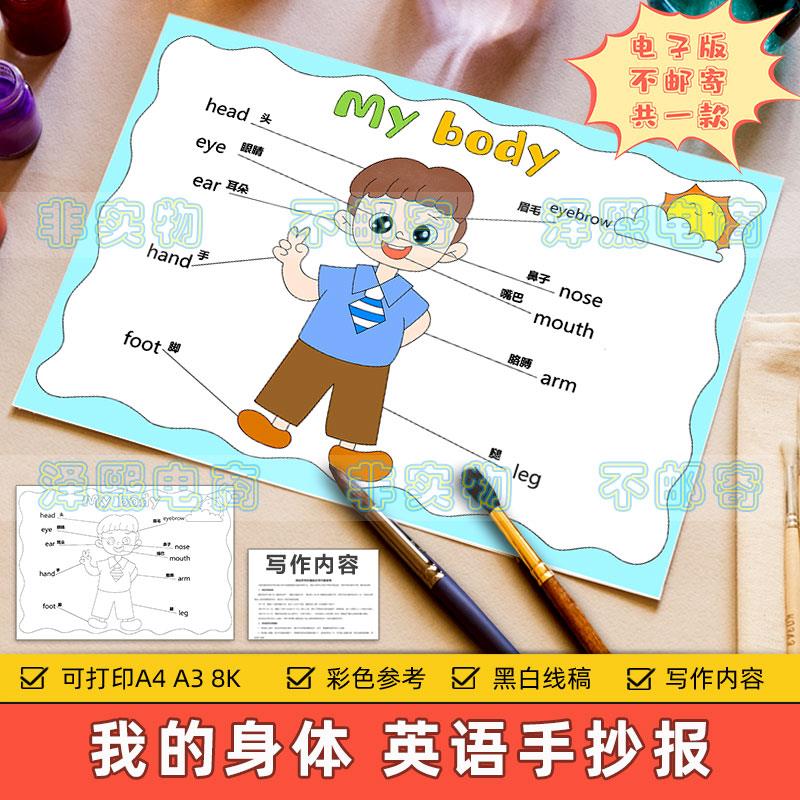 my body 英语手抄报模板小学生我的身体器官部位英文单词黑白线稿
