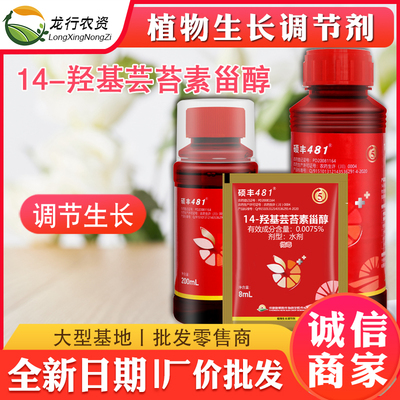 硕丰481花之果 芸苔素内酯解药害花卉果蔬保花保果植物生长调节剂