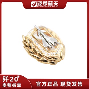 殲20J20大國(guó)重器龍騰東方立體麥穗珠寶長(zhǎng)春航展限量徽章 中航正品