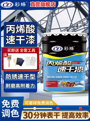 彩蝶速干油漆防腐防锈丙烯酸漆钢结构栏杆翻新漆油性金属漆
