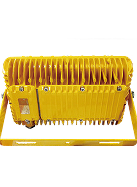 深圳尚为(SEVA)SZSW8240-120W 防爆灯（计价单位：套）白色