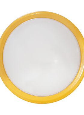 尚为(SEVA) SZSW8163-12 AC220V 12W IP67 防爆LED应急灯 个 黄色