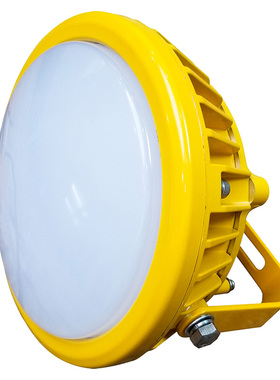 深圳尚为（SEVA）SZSW8163-12W 防爆LED应急灯