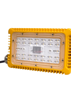 尚为(SEVA) SZSW8175-24F 24W  5700K LED 防爆LED通路灯 盏 黄色