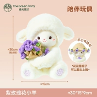 Роза Ламб-Пурпур