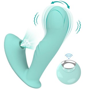 Dildo Vibrator Clitoris Vibrating G Spot Sex Toys for Women