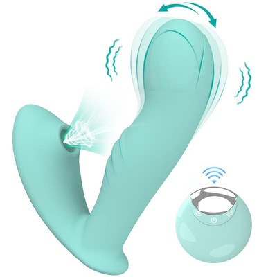 Dildo Vibrator Clitoris Vibrating G Spot Sex Toys for Women