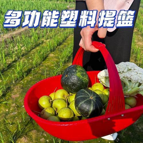 农用手提篮塑料手提篮加厚熟胶果蔬采摘篮沥水篮竹篮挎篮筐子