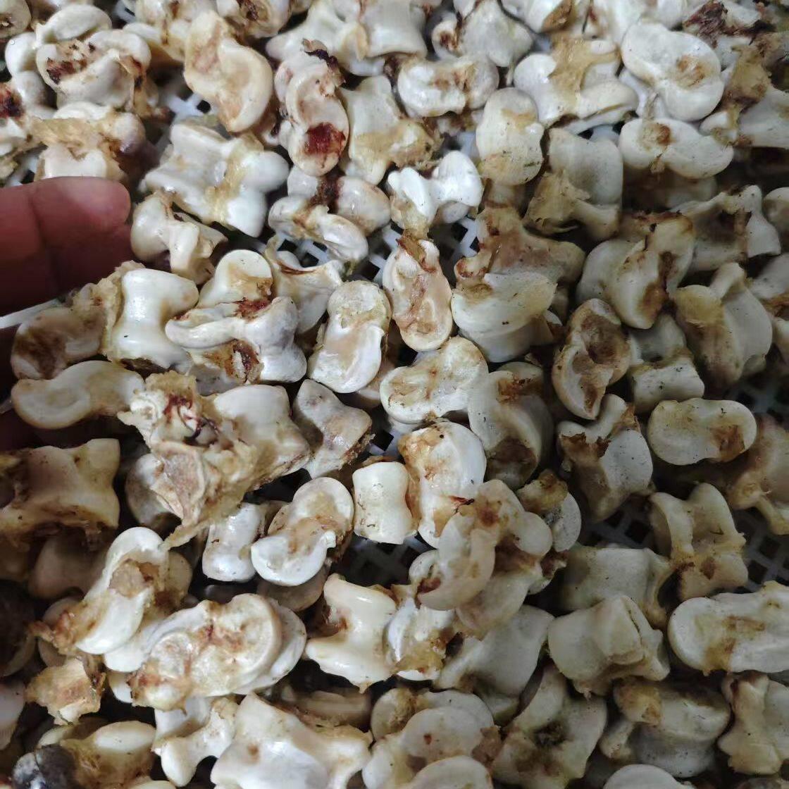 嘎啦嘎啦头骨70 80 真羊嘎拉哈纯天然回忆儿时记忆 老式 嘎拉哈骨