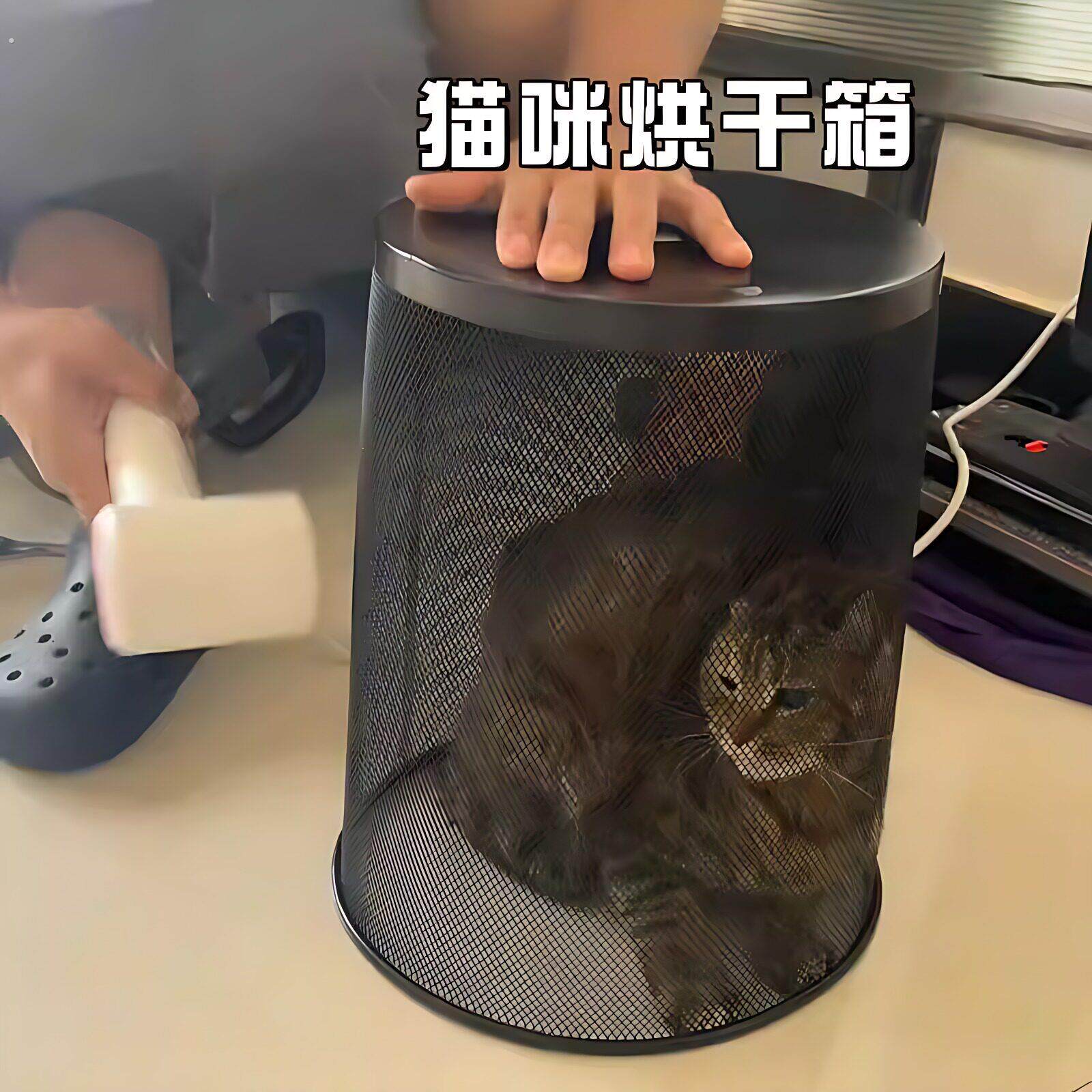 猫咪烘干箱宠物狗狗洗澡专用吹干神器小型犬吹风机吹水烘干垃圾桶