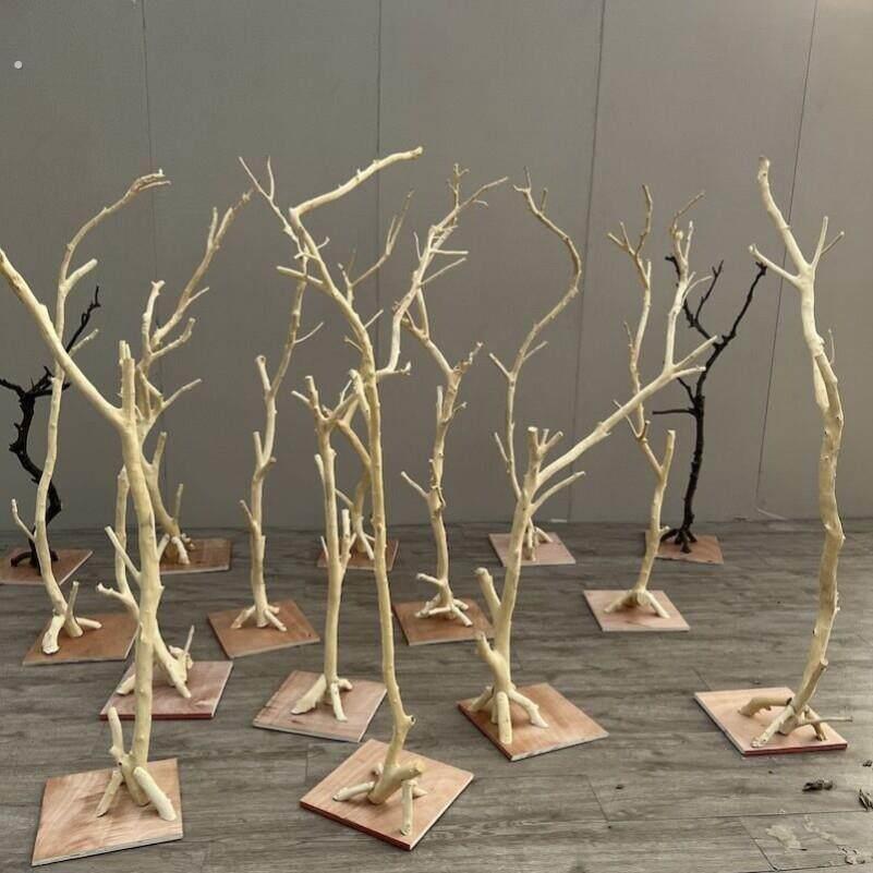 树枝干枝支架鸟站架鹦鹉木架树干灯架装饰干树枝艺术摆件原木造型