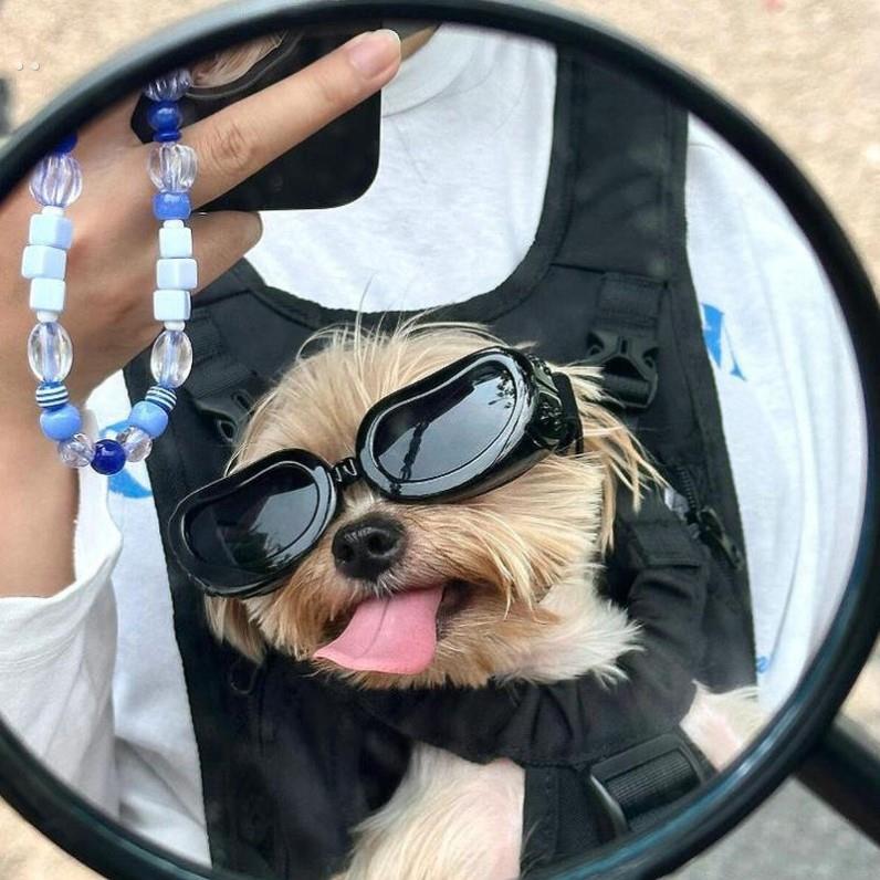 约克夏小狗狗专用眼镜宠物马尔济斯太阳镜墨镜防风护目镜配饰用品