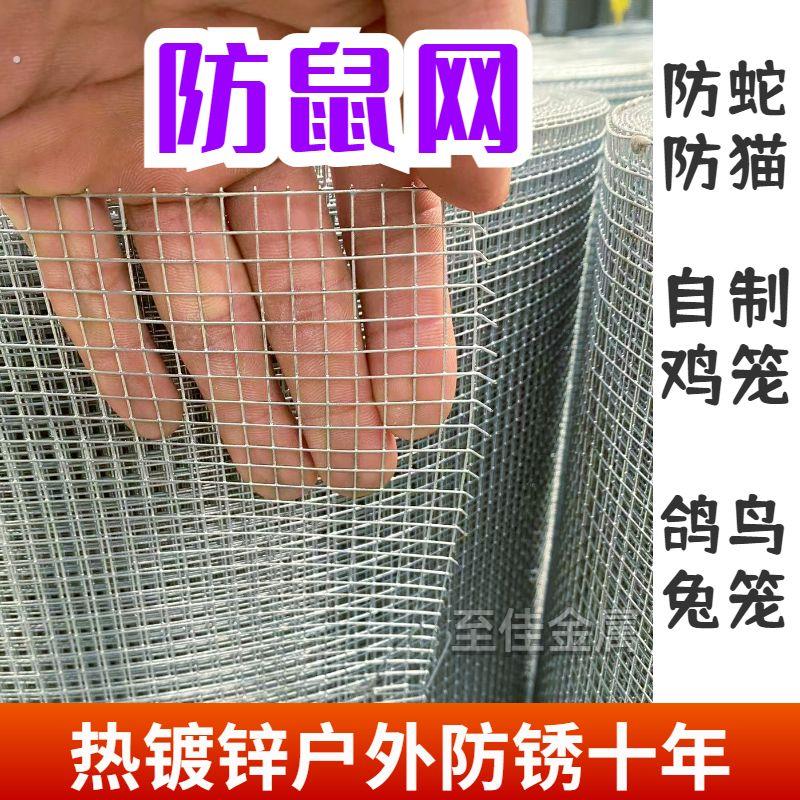 热镀锌铁丝网小孔加密防老鼠铁网格阳台防护鸽鸟兔笼网户外养殖网