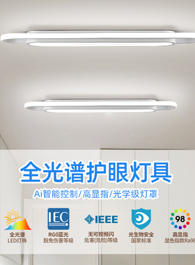 新款过道灯走廊长条灯吸顶灯入户玄关阳台灯网红衣帽间长方形灯具