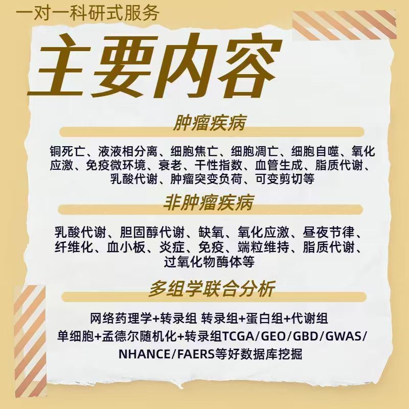 分子对接模拟,MS代做MD 分子动力学模拟 虚拟筛选 abaqus代算计算