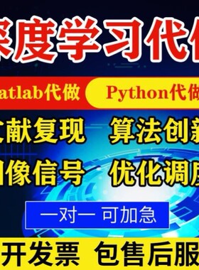 matlab代码帮做编写程序代编代做python深度学习复现算法仿真编程