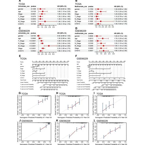 R语言代码Rstudio绘图SCI科研生信医学桑基热图数据分析作图教程