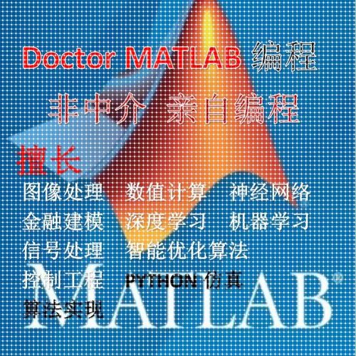 matlab程序代编代码帮做图像信号处理python代做深度学习算法彷真