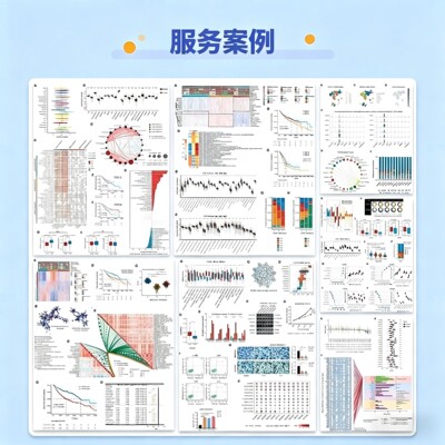 第一性原理计算 VASP计算 MS VASP 教程 软件安装 计算 代算 咨询