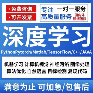 python代编程机器深度学习代码复现matlab代编写神经网络算法代跑