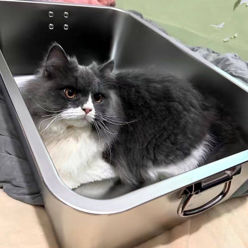 猫砂盆不锈钢大猫厕所特大号巨型猫沙盆子大号缅因速卖通床笠