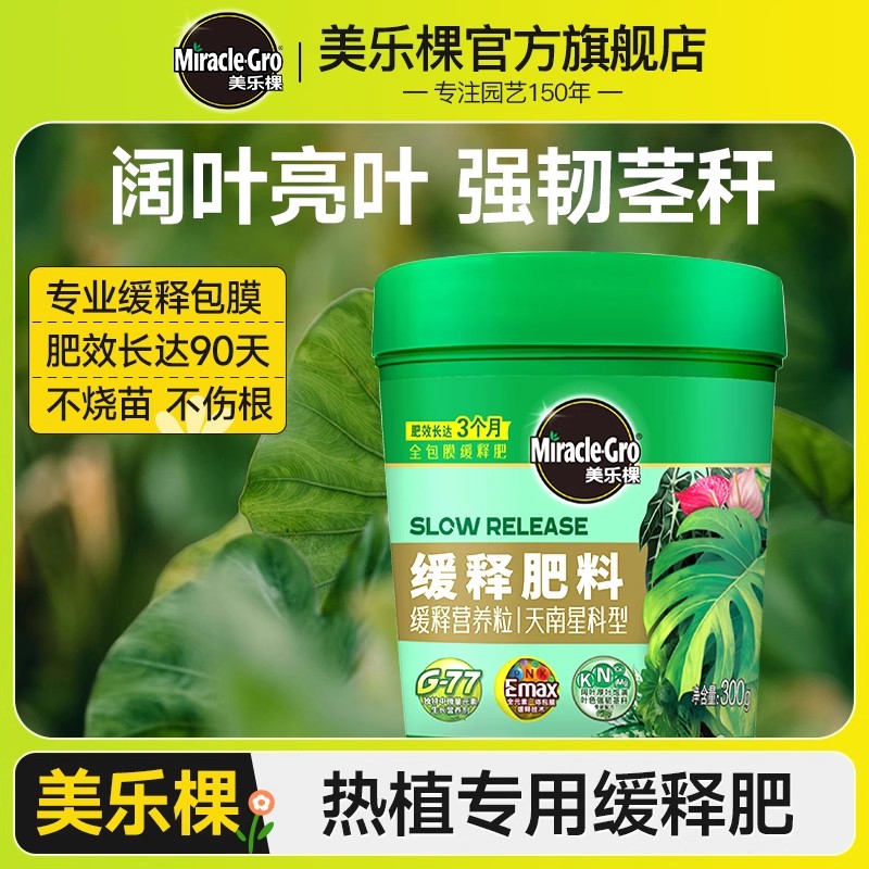 美乐棵天南星科缓释肥绿植物盆栽