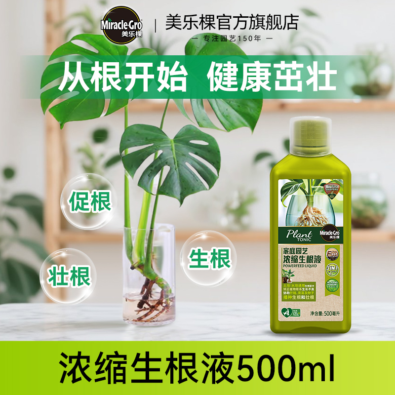 美乐棵浓缩生根液天南星科