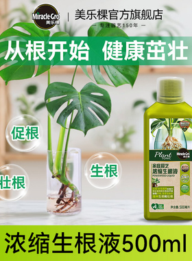美乐棵天南星科生根液龟背竹花烛海芋生根剂壮苗强力植物生根水培