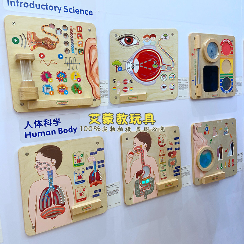 贝思德墙面玩具儿童科普人体科学五大感官视觉听觉手训练益智墙面